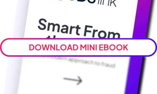 Mini Fraud eBook | GDS Link